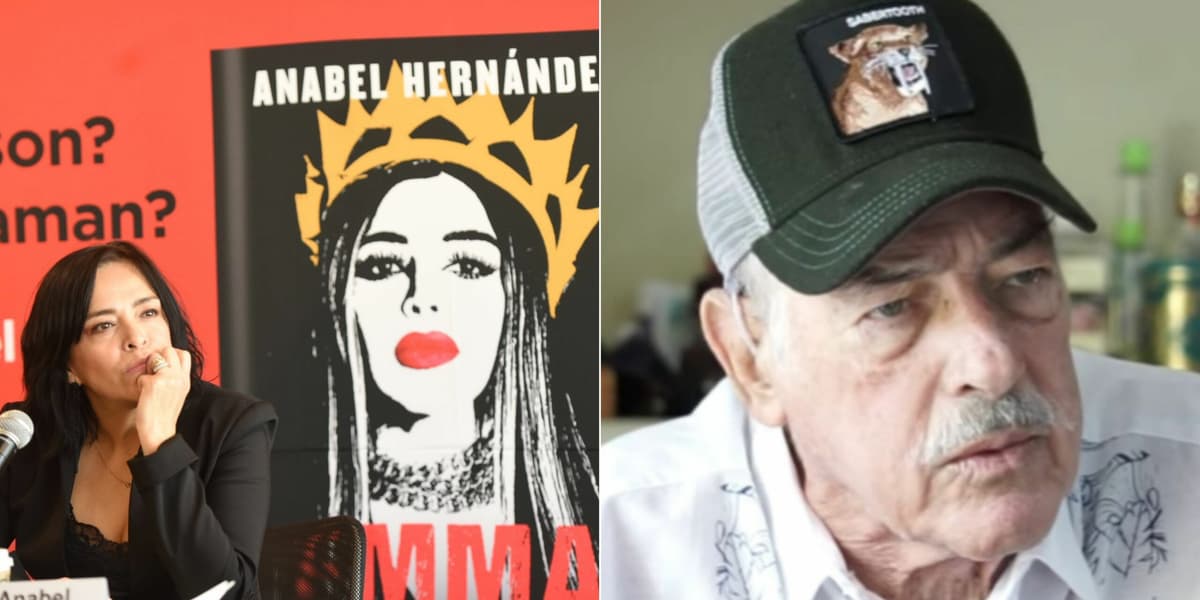 Anabel Hernández denuncia a Andrés García por amenazas