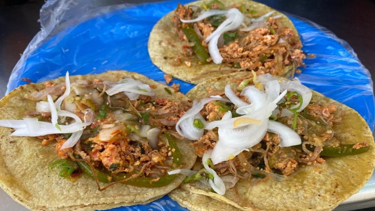 Hazle honor al “Día del Taco”, en Playa del Carmen