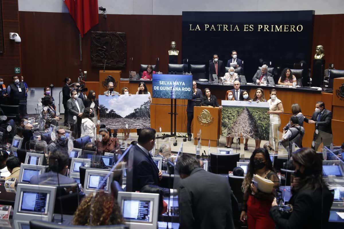 "Titulares de Fonatur, Semarnat y Profepa deben responder por el daño a nuestros recursos naturales" Mayuli Martínez