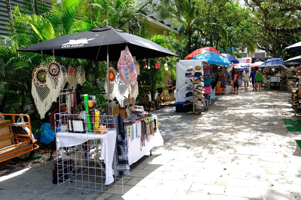 Se avanza en formalización de ambulantes en Solidaridad