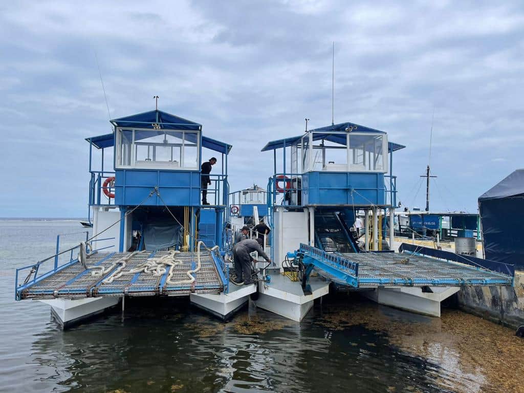 Listos seis buques sargaceros para contener el alga en Quintana Roo