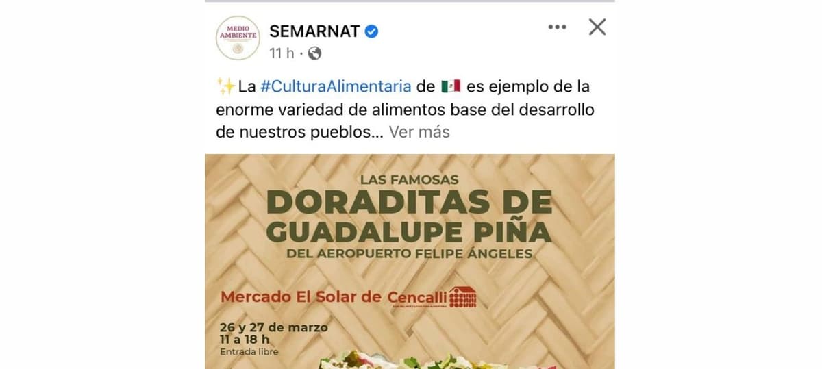 SEMARNAT crítica ambientalistas por Tren Maya pero promueve garnachas