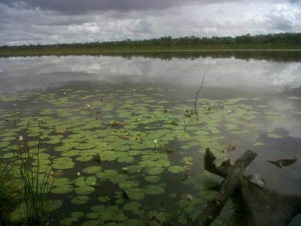 Comunidad maya bebe agua de la laguna ante falta de servicios