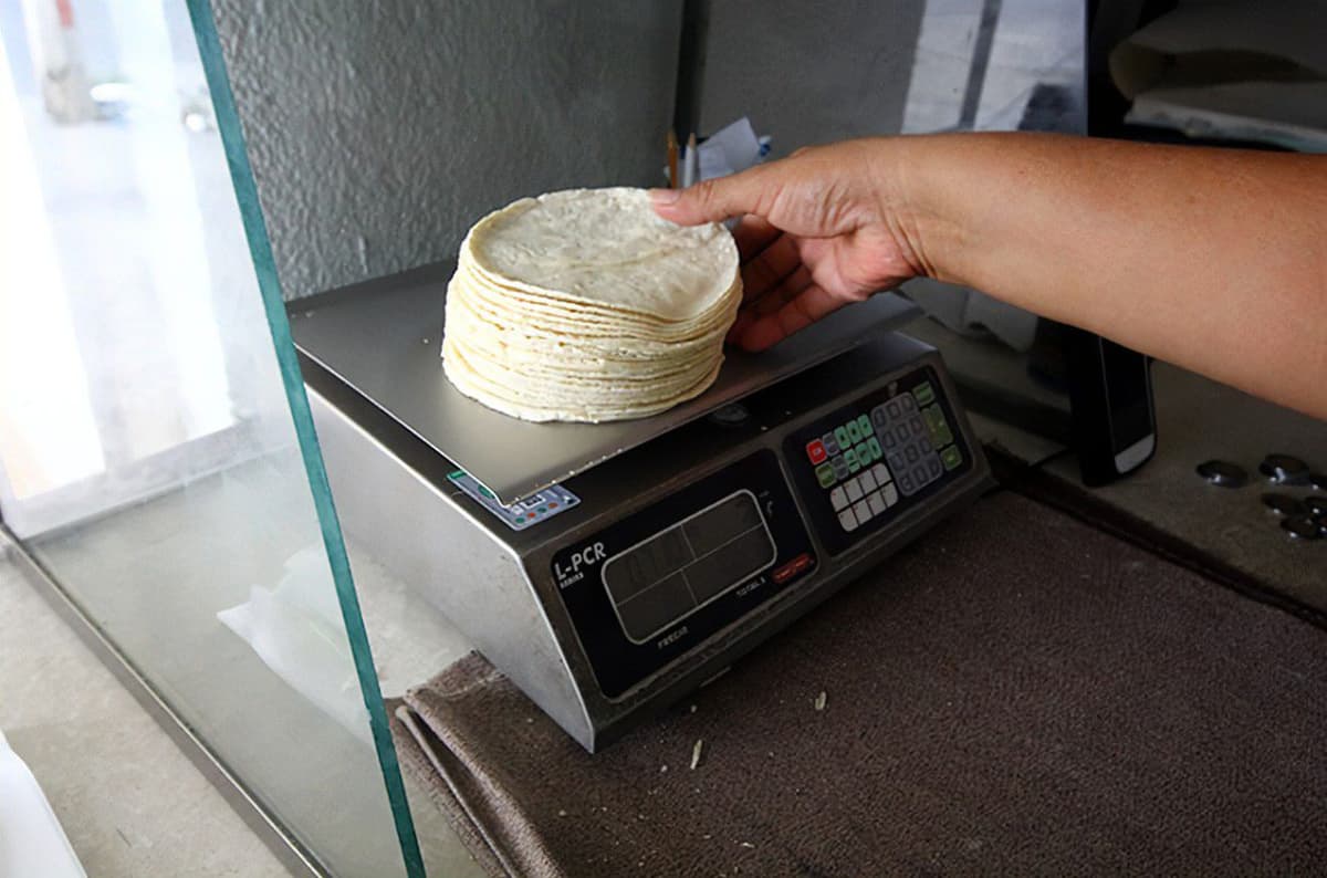 Analizan tortillerías cambiar de harina al maíz, ante continuas alzas