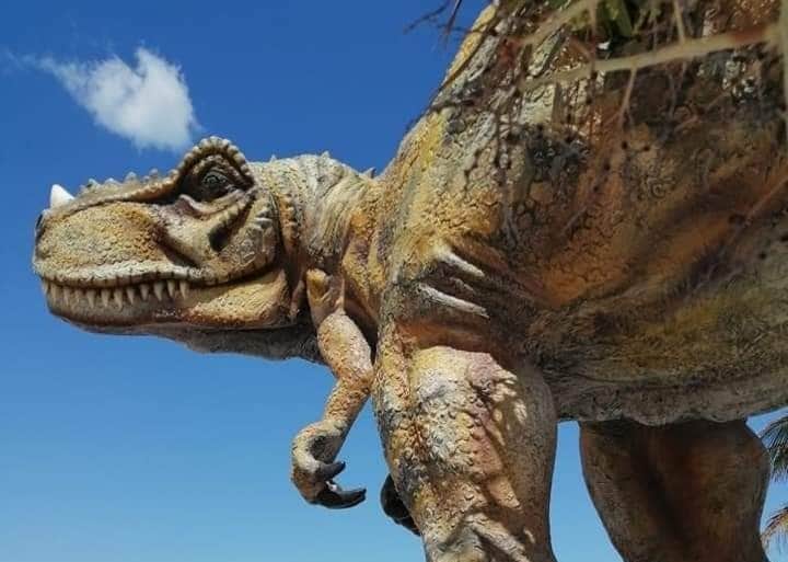 Chicxulub Puerto amanece “invadido” por dinosaurios
