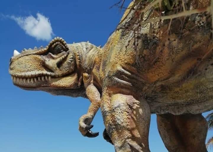 Chicxulub Puerto amanece “invadido” por dinosaurios