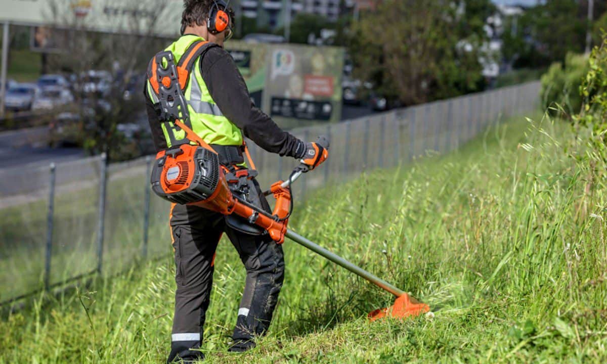 En Canadá ofrecen vacantes con sueldos de hasta 48 mil pesos al mes