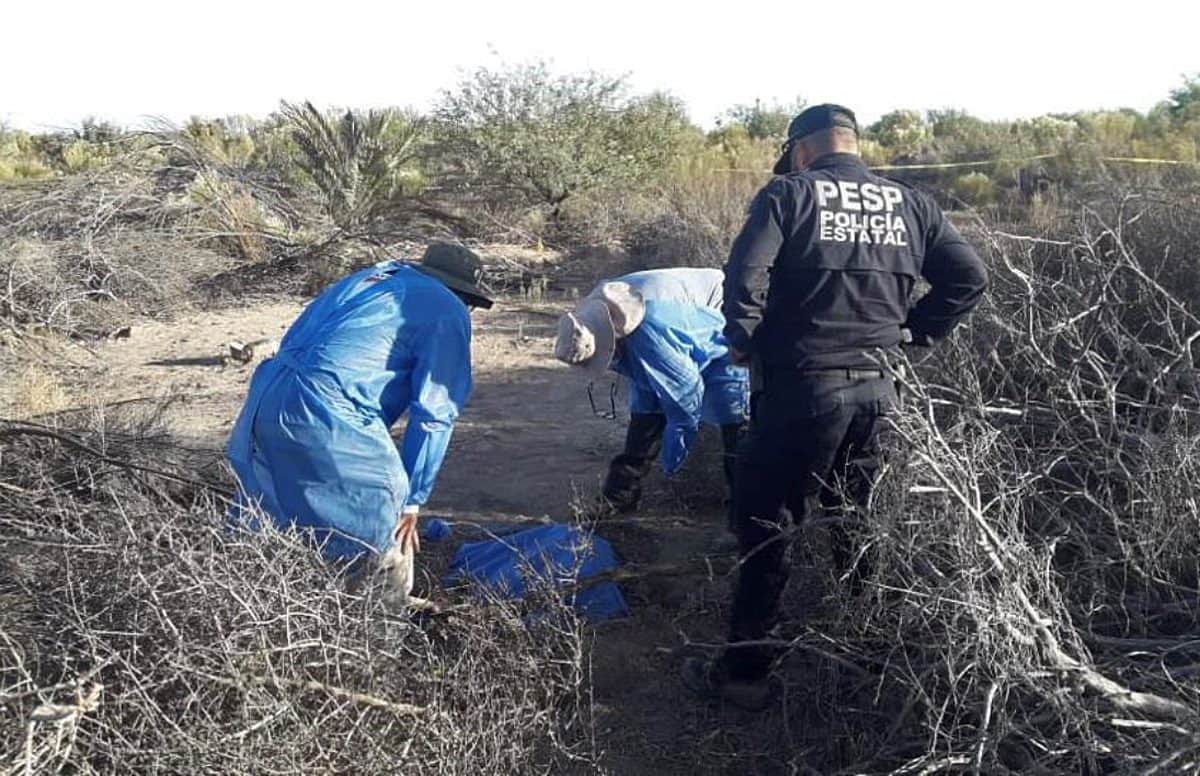 Hallan 11 cuerpos en fosas clandestinas en Sonora; dos son mujeres