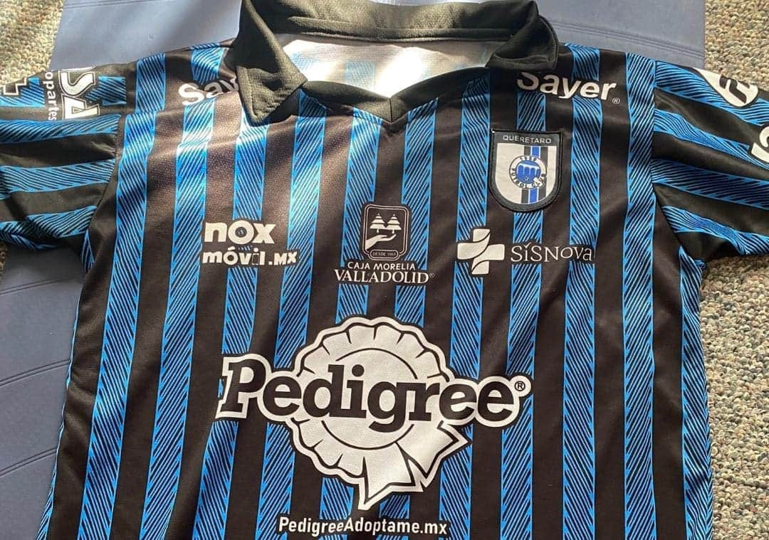 Video: Anuncian sanciones para Gallos de Querétaro; equipo no será desafiliado