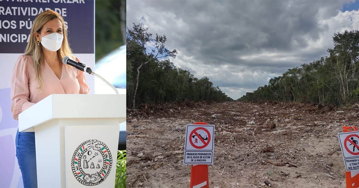 Playa del Carmen inicia procedimiento administrativo por desmonte para el Tren Maya
