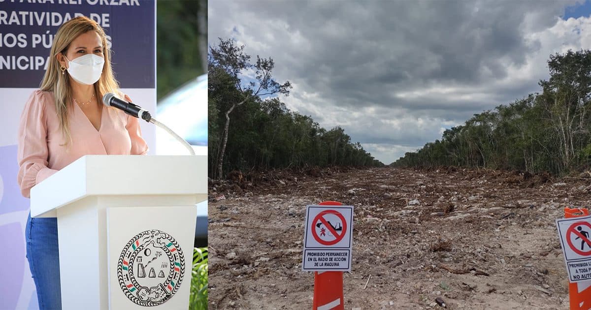 Playa del Carmen inicia procedimiento administrativo por desmonte para el Tren Maya