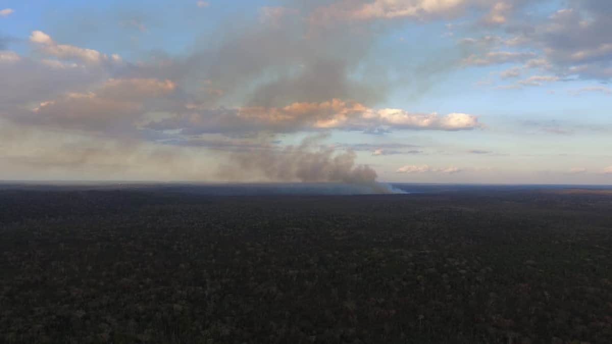 Surge el primer incendio forestal de la temporada en Bacalar