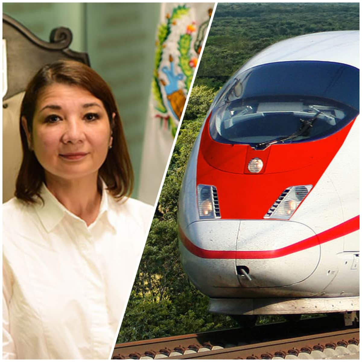 Exige Kira Iris detener obras del Tren Maya y reparar los daños ocasionados