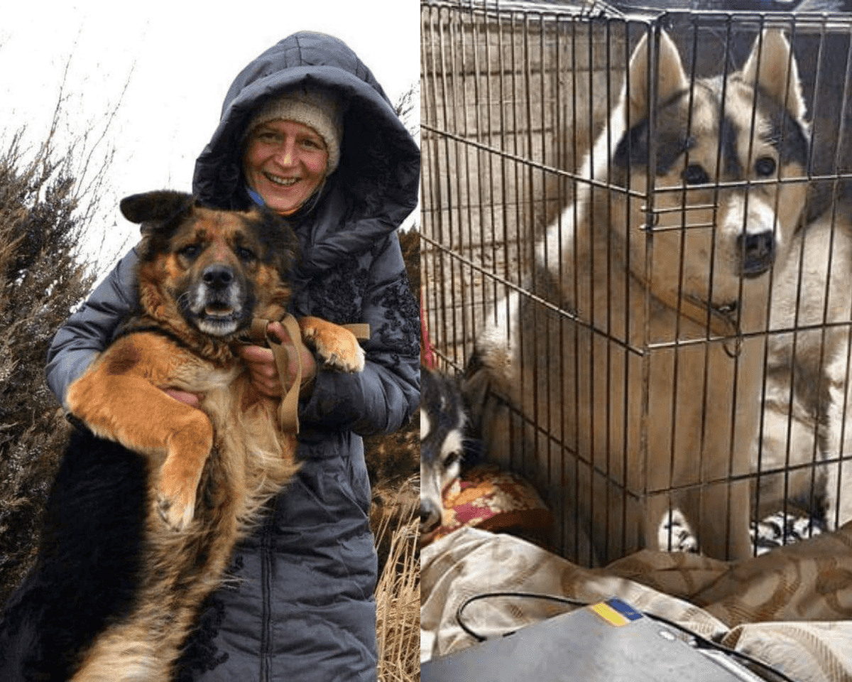 Pierde la vida rescatadora por bombardeo en Ucrania; había resguardado a perritos durante la guerra