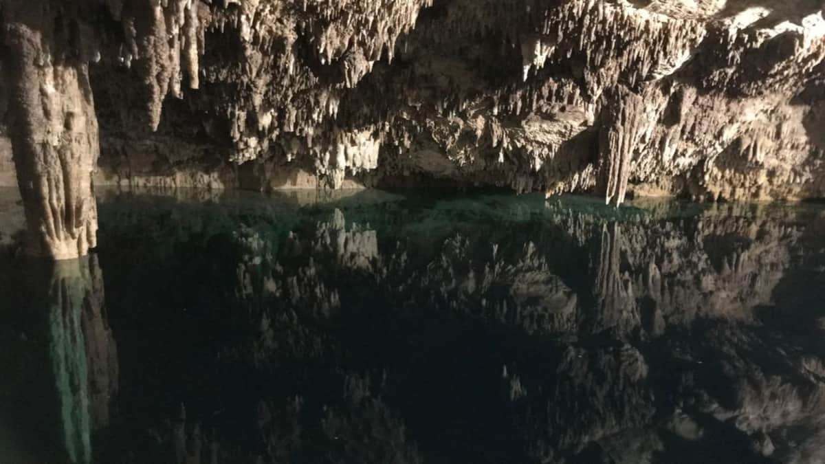 Ayudarán asociaciones ambientalistas a proteger cavernas y cenotes en Playa del Carmen