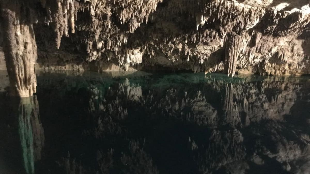 Ayudarán asociaciones ambientalistas a proteger cavernas y cenotes en Playa del Carmen
