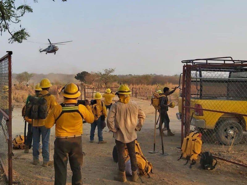 Tras 15 días activo, logran extinguir incendio en la región del Istmo