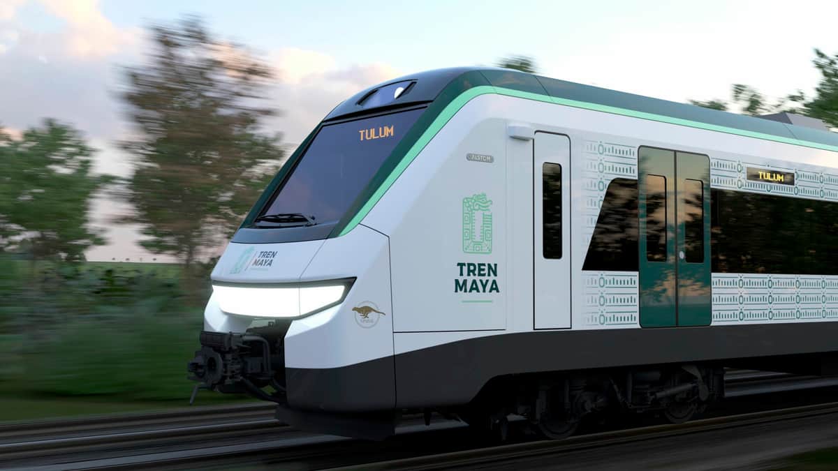 ÚLTIMO MOMENTO: Suspenden construcción del tramo cinco sur del Tren Maya