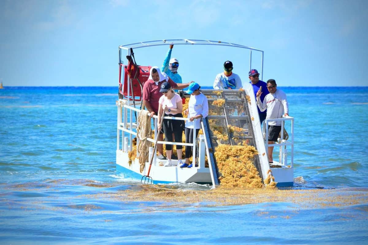 Realizan pruebas con maquinaria y embarcaciones sargaceras, para eficientizar recursos