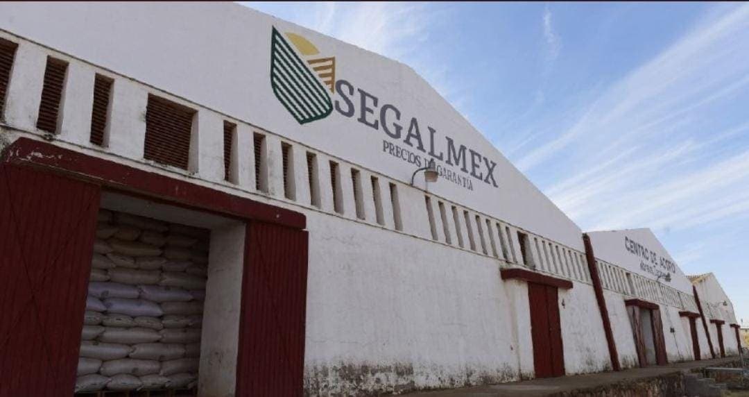 Ex funcionario de Segalmex compró 100 mdp de bonos bursátiles con dinero público