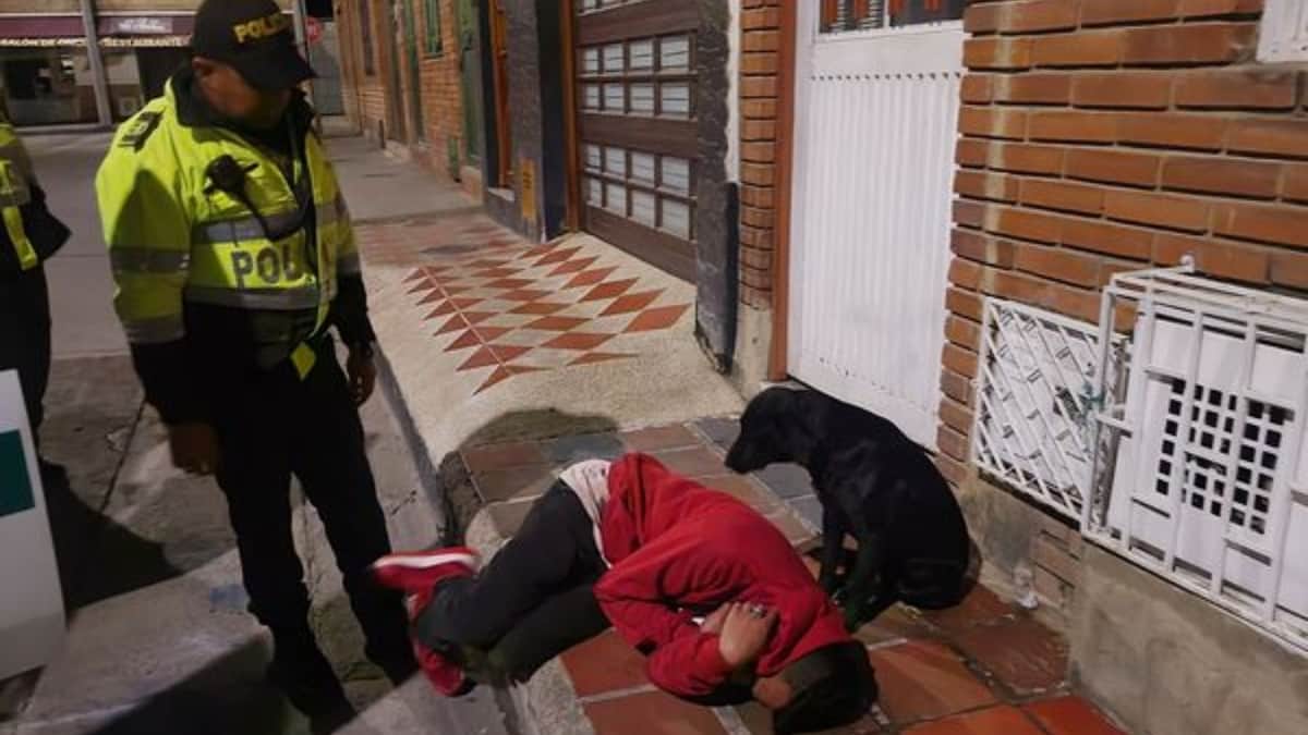 Perrito cuida a su dueño en estado de ebriedad que se quedó dormido en una banqueta