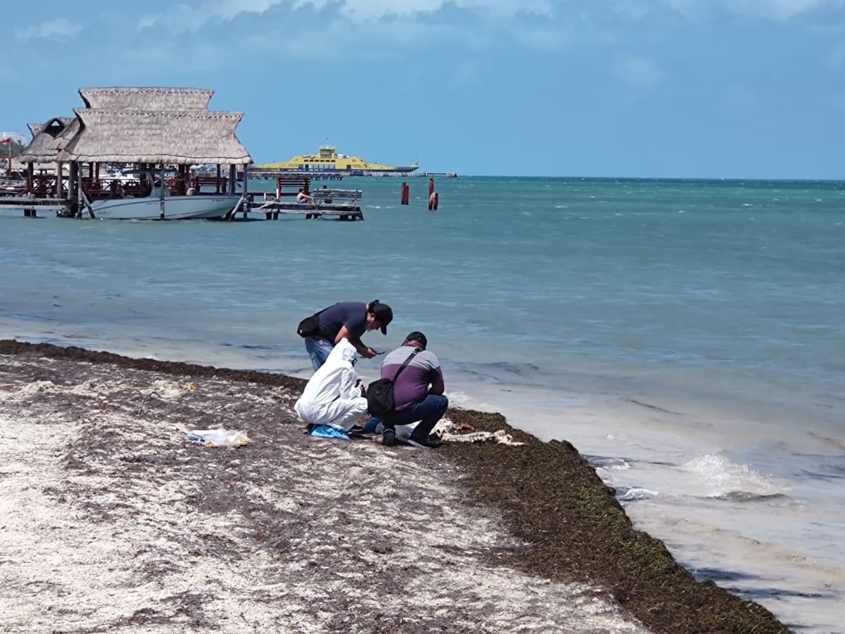 Hallan restos humanos en playa de Puerto Juárez