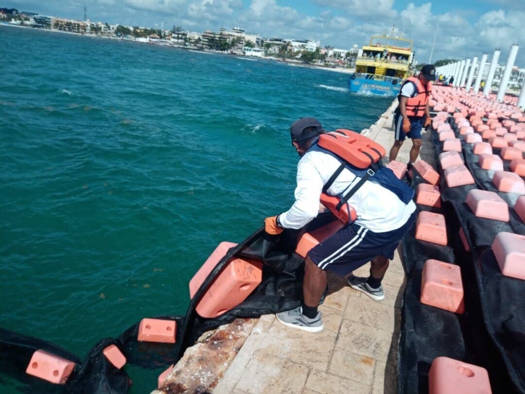 Hoy inician trabajos de instalación de barrera antisargazo en Playa del Carmen