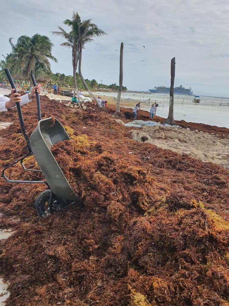 Empresarios califican de errada la estrategia de la Marina en Mahahual