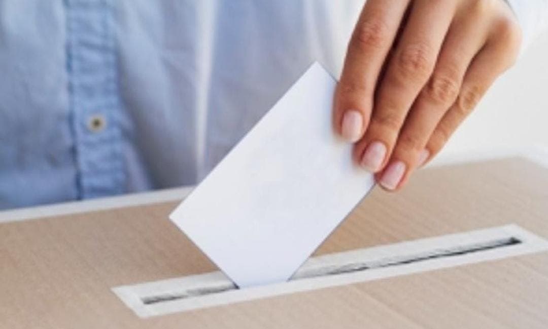 La costosa y poco efectiva consulta en Quintana Roo