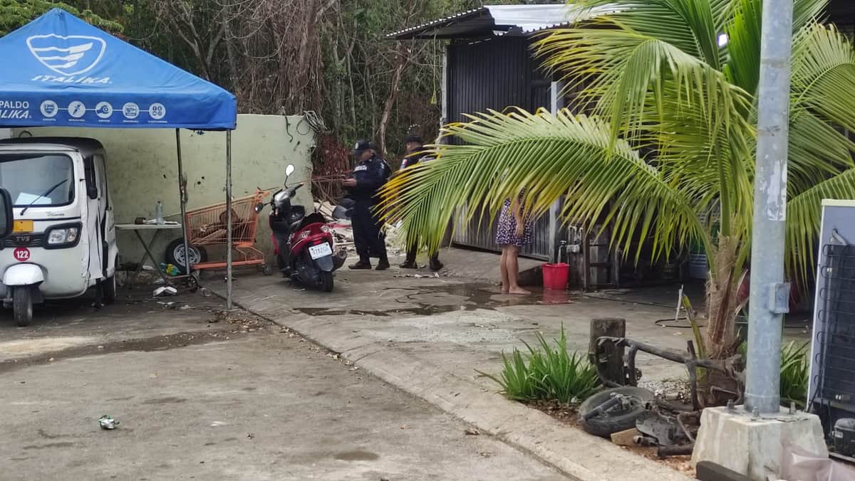 Encuentran cuerpo en avanzado estado de putrefacción en área verde de Villas del Sol de Playa del Carmen
