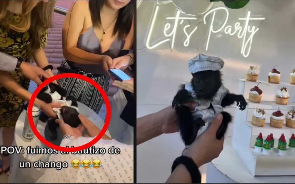 VIDEO: ¡México mágico! Bautizan a changuito y se vuelve viral