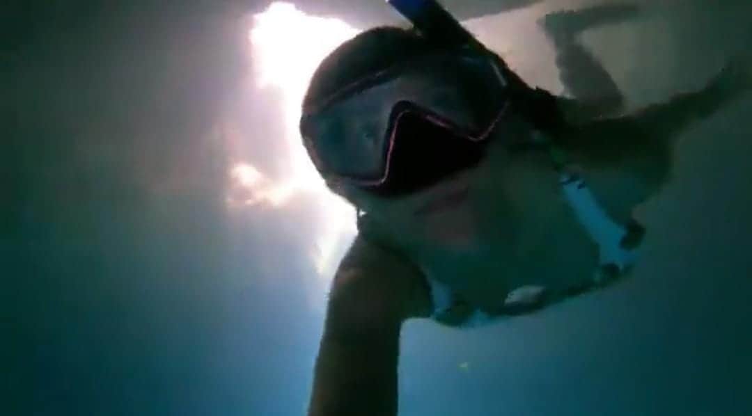 Video: Muestran la naturaleza que podría verse afectada por el Tren Maya