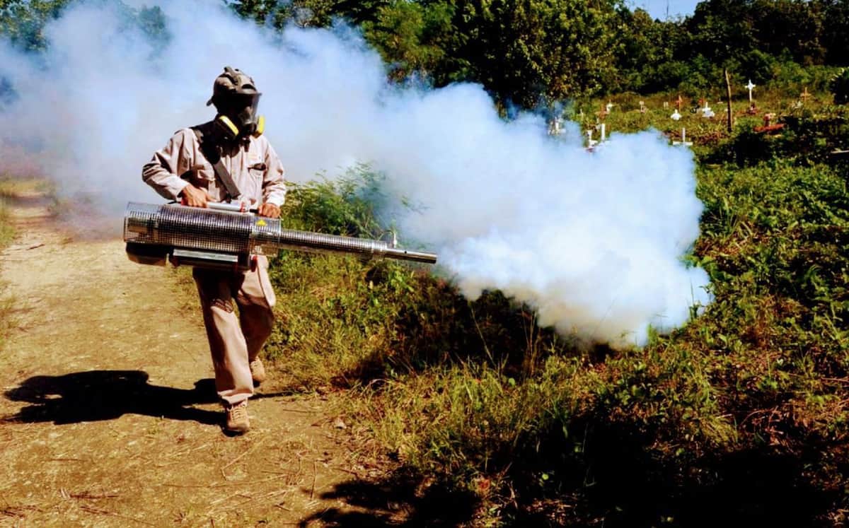 Vigilan posible proliferación de moscos Aedes Aegypti en tres regiones de Cancún