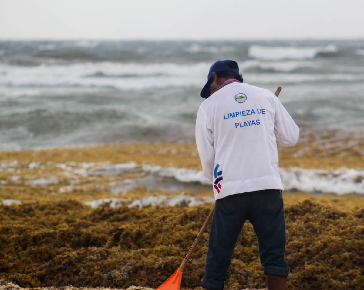 Refuerzan trabajos de limpieza en playas de Solidaridad
