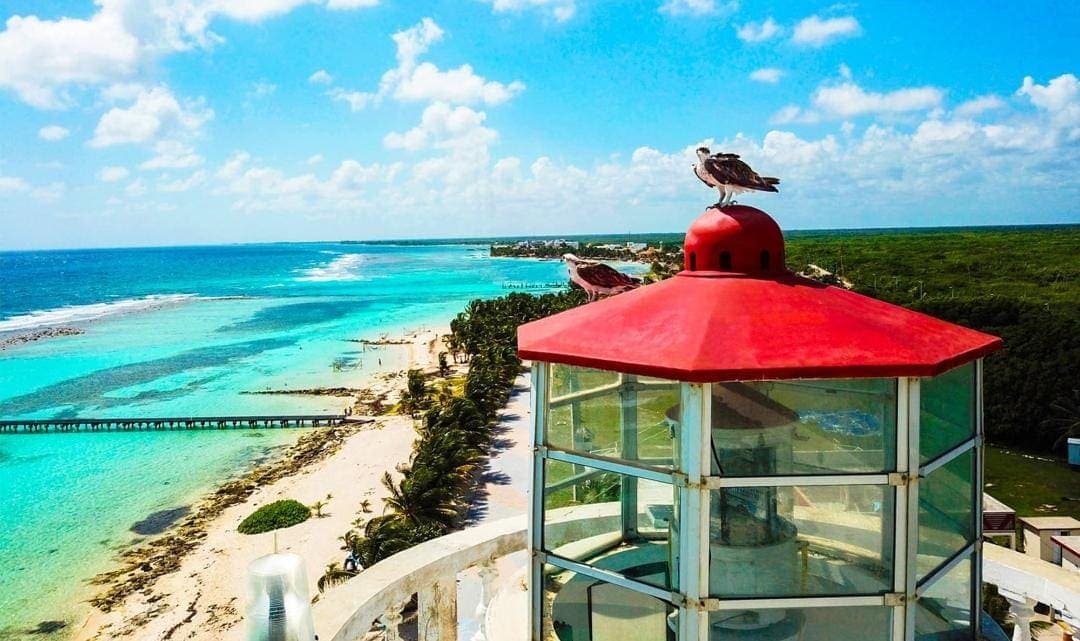 Urge modificar leyes ambientales para regular disposición final del sargazo