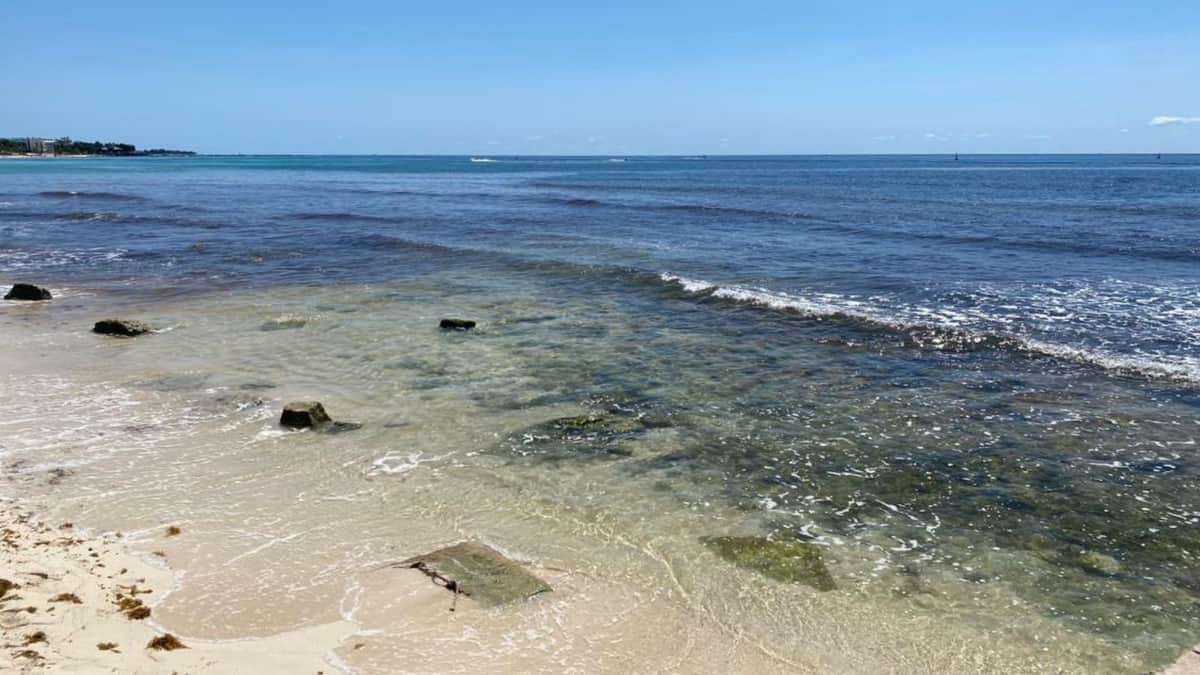VIDEO: ¡Las costas lucen limpias y con un color espectacular en Playa del Carmen!