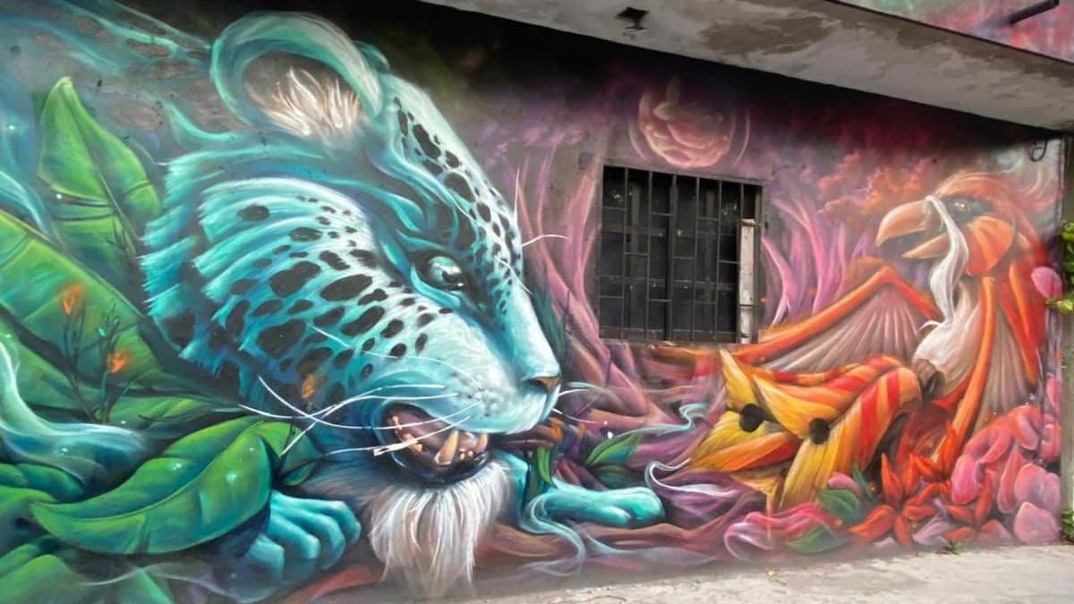 Fortalecerán en Playa del Carmen y Puerto Aventuras creación de ruta turística de murales