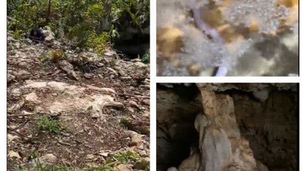 Tren Maya: Encuentran anguila ciega en cenotes del tramo 5