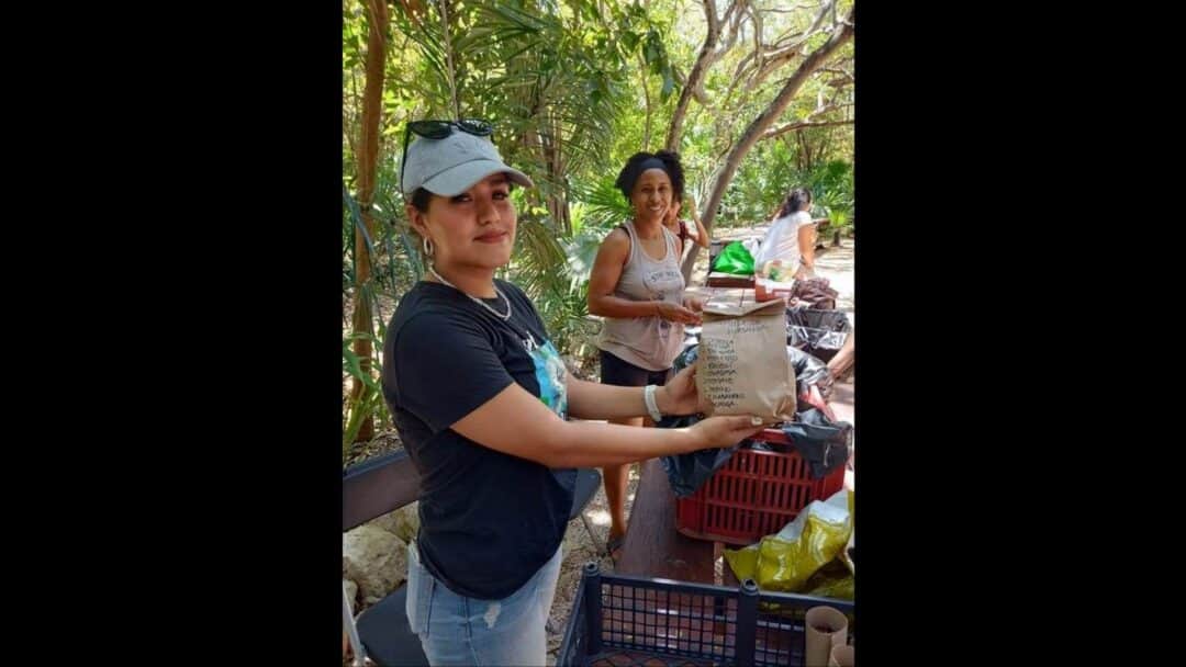 Realizan programa de Producción de Alimentos Orgánicos en Playa del Carmen