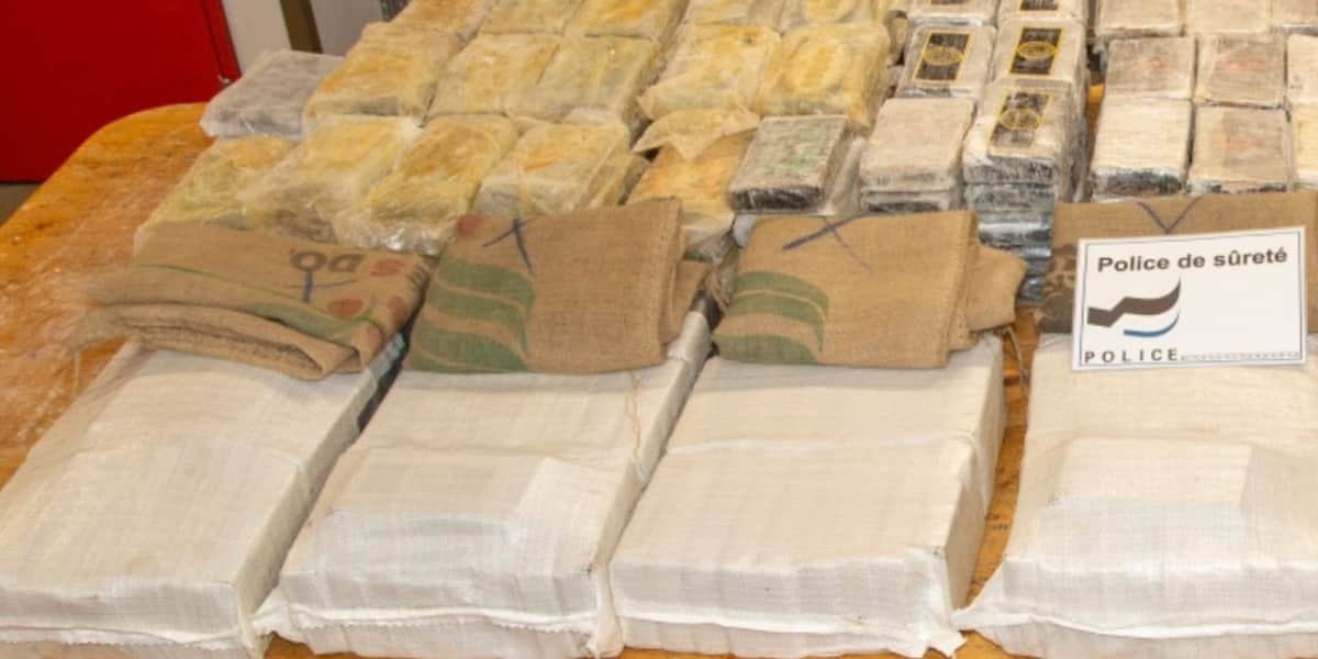 Suiza incauta 500 kilos de cocaína "escondidos" en bolsas de café