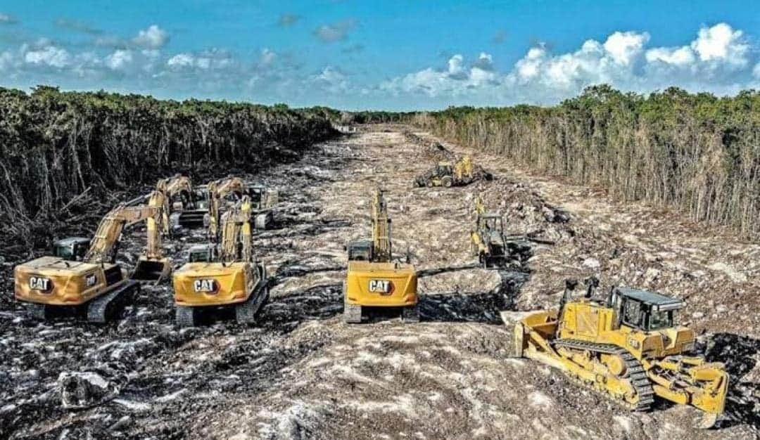 Suspenden de manera provisional la construcción del tramo 5 del Tren Maya