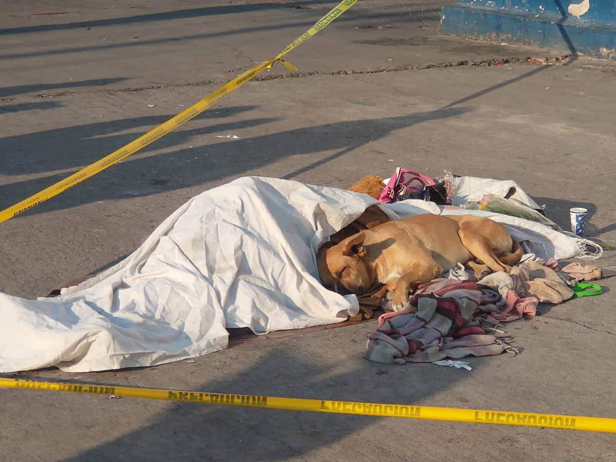 Indigente muere afuera del Metro y su perrito se niega a separarse de él