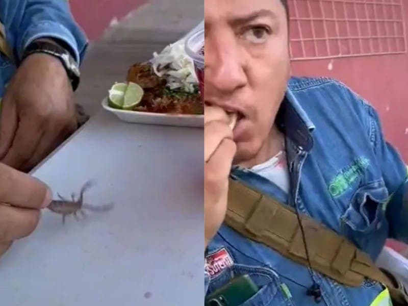 VIDEO: Electricista presume un taco de birria con un alacrán vivo