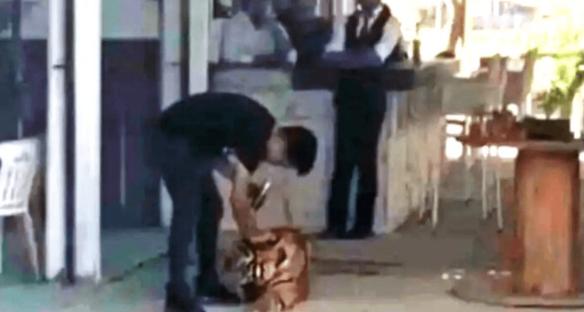 VIDEO: Hombre llega a comer a un restaurante ¡acompañado de su tigre!