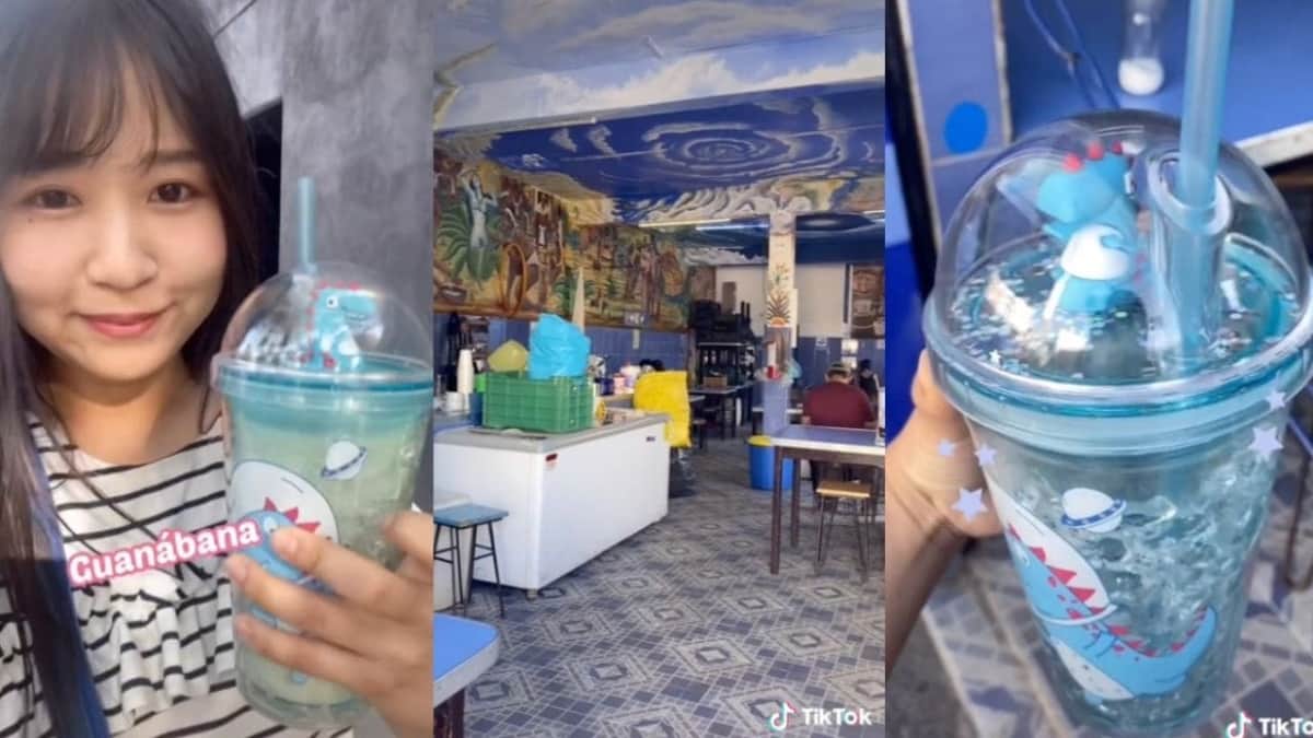Video: Japonesa se hace viral en TikTok por su reacción al entrar a una pulquería de México