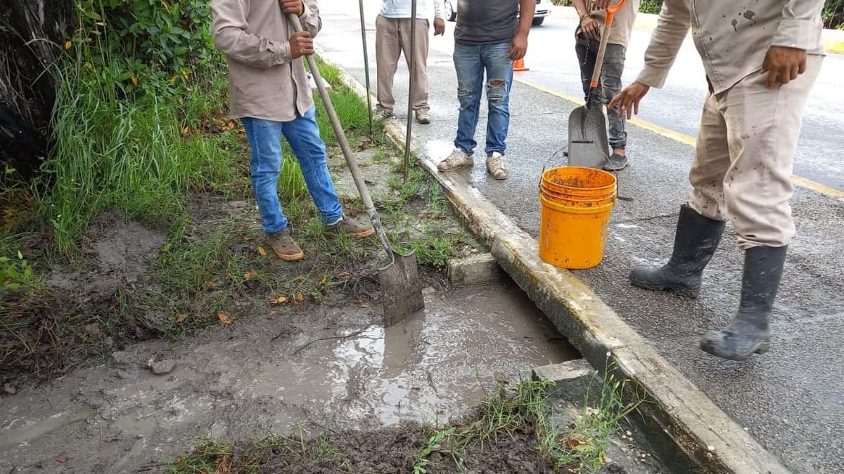 Brigadas de servicio públicos redoblan acciones de limpieza en Puerto Morelos