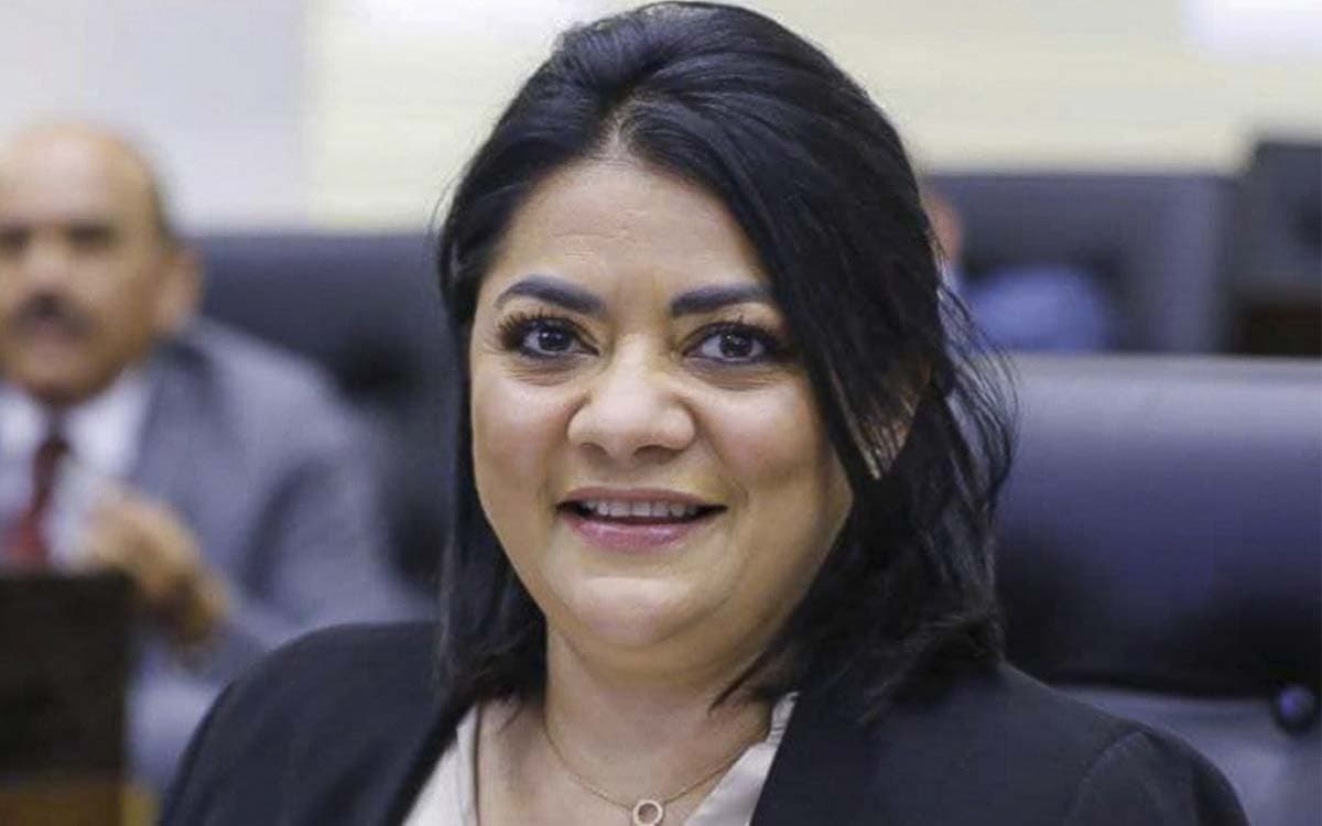 VIDEO: sobrina de AMLO, Úrsula Patricia Salazar Mojica, roba teléfono de un diputado