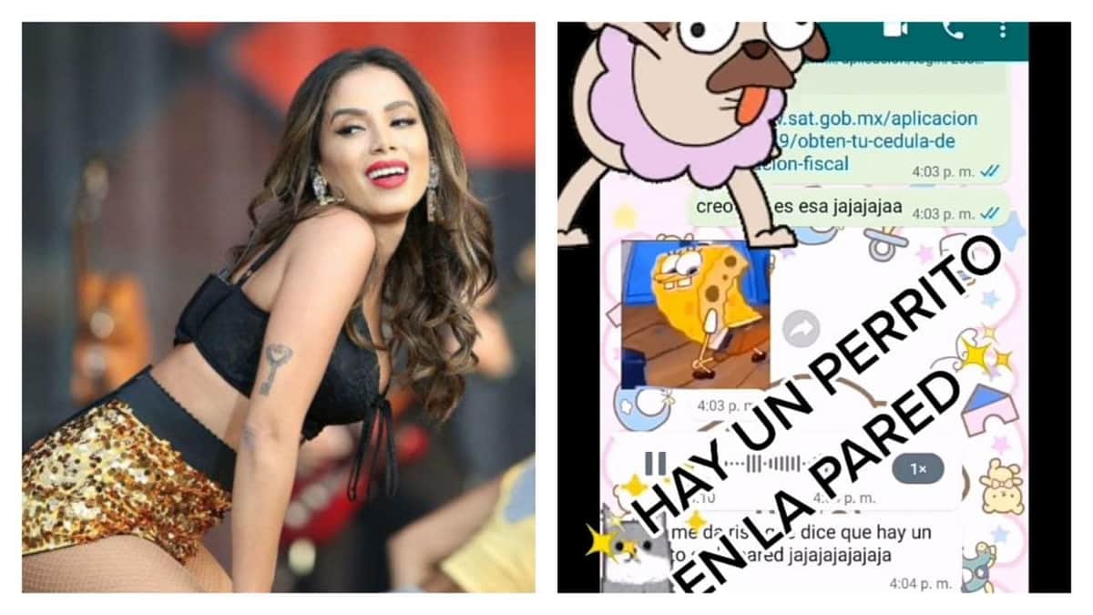 Video: niño se viraliza en las redes al cantar su propia versión de la canción "Envolver" de la cantante Anitta