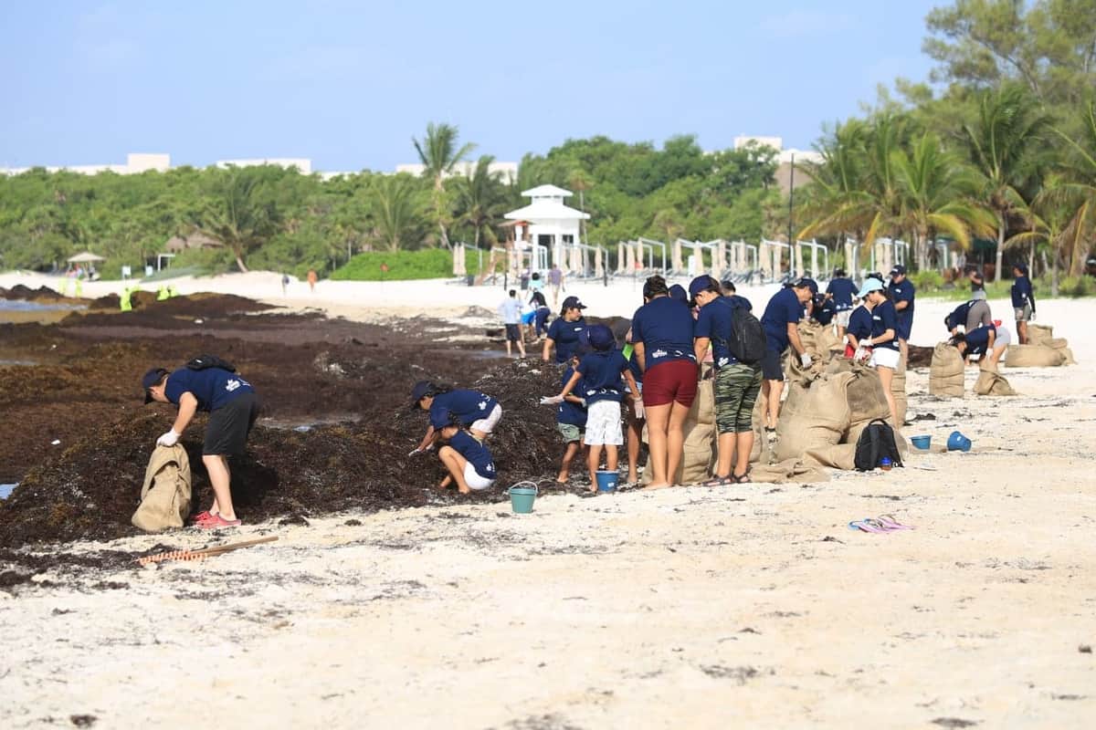 Voluntarios se suman a limpieza de playas