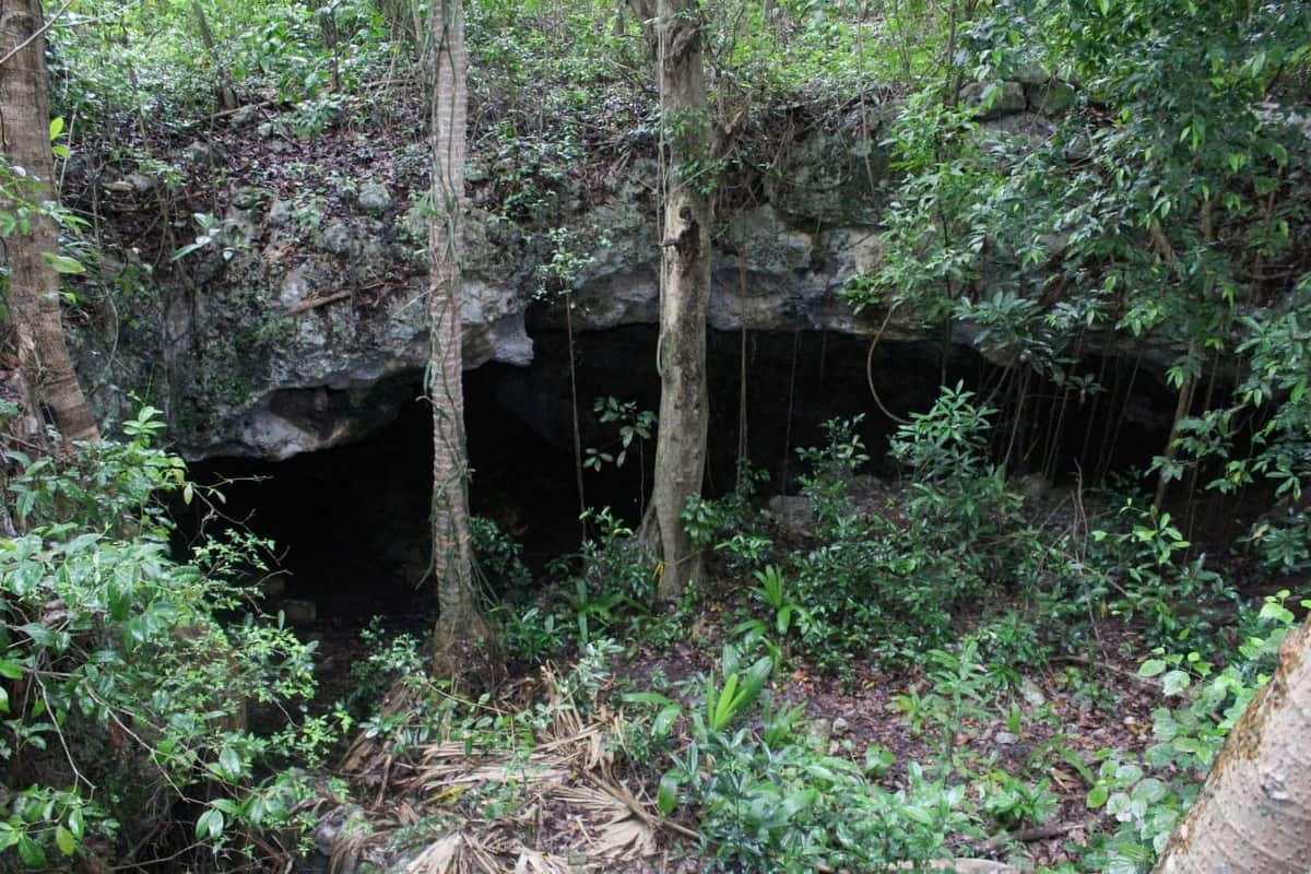 Promueven el Programa “Adoptemos un cenote”